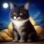 用户夜行猫头像，男性，夜猫子风格
